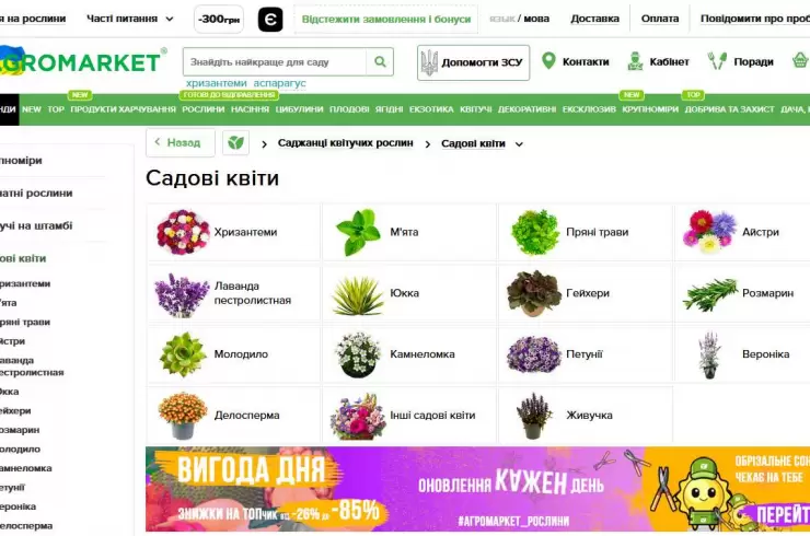Магазин Насіння Agro-Market.net
