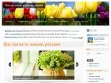 Все про квіти та рослини