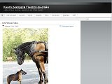 Книга рекордів Гінесу он-лайн