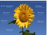 Розробка програмного забезпечення, сайтів та веб-дизайн