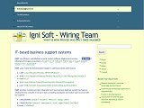 IT-based business support systems | Igni Soft - Wiring Team